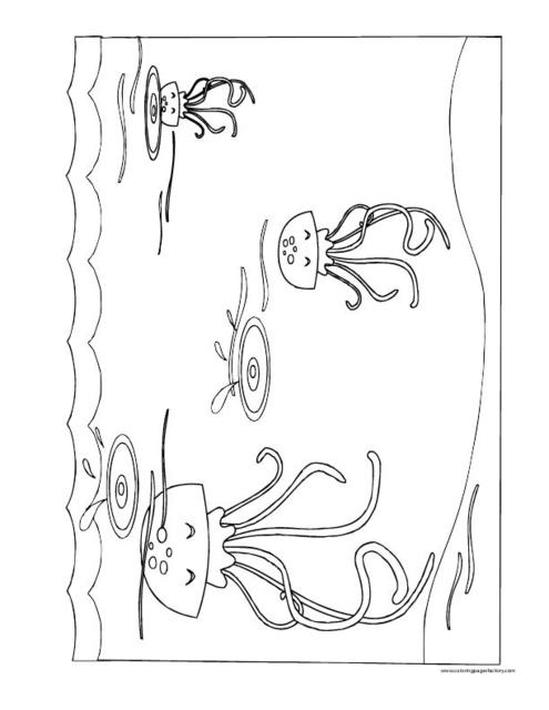 Kolorowanka z Meduzami - Relaksujący Świat Morskich Stworzeń kolorowanka do druku